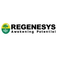 Regenesys Nigeria
