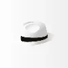 White Hat Gaming