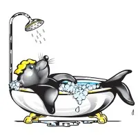 WA Assett The Bathroom Renovators WA Assett The Bathroom Renovators