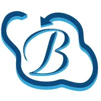 Bhavitra Technologies Private Limited
