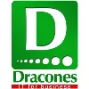 Dracones IT