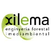 XILEMA