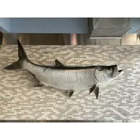 Off the Hook Seafood LLC Off the Hook Seafood LLC