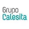 Grupo Calesita