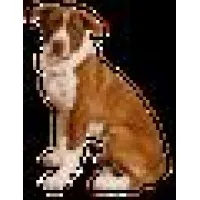Calera Animal Hospital
