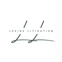 Levine Litigation LLC