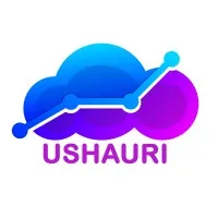 Ushauri Digital Consulting