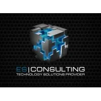 ES Consulting, Inc.