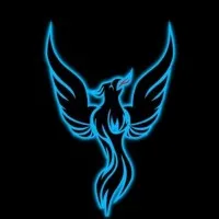 Black Phoenix Aerial llc