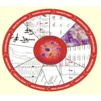 HematoLogics Inc. 