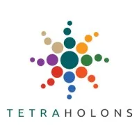 Tetra Holons