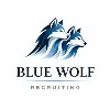 Blue Wolf Recruiting LLC Blue Wolf Recruiting LLC