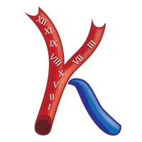 George King Bio-Medical, Inc.