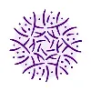 Allium Counseling