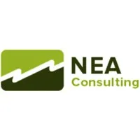 NEA Consulting Inc
