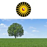 Copernicus Institute of Sustainable Development, Utrecht University