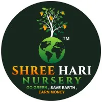 Shree Hari Nursery