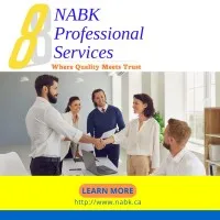 NABK Professional Services