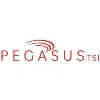 PegasusTSI PegasusTSI