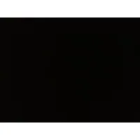 CORONA PAINTS