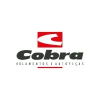 Cobra Rolamentos e Autopeças