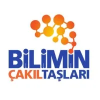 Bilimin Çakıl Taşları