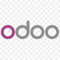 Odoo Developer 