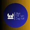 Blue Vikings Capital LLC Blue Vikings Capital LLC