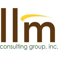 LLM Consulting Group Inc. LLM Consulting Group Inc.