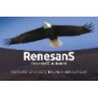 RenesanS RenesanS