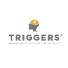 Triggers® Brand Consulting