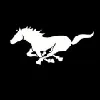 Black Horse Black Horse