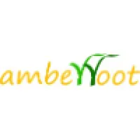 Amberroot Systems Private Limited
