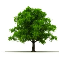 Arbor Capital Management 