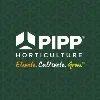 Pipp Horticulture Pipp Horticulture