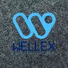 WELLEX Ltd. WELLEX Ltd.
