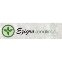 EZIGRO SEEDLINGS