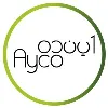 Ayandeh Negaran Co. (AYCO)