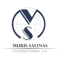 AGENCIA ADUANAL MURIS SALINAS CONSULTORES SC