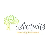 Axilwits IT Services