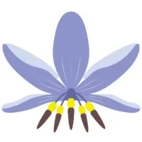 Biyani House  - Revesby Womens Shelter 