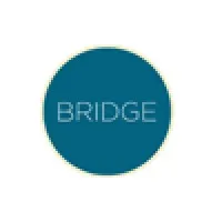 Bridge Digital Inc.