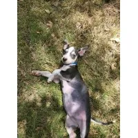 No longer available Fort Worth, United States