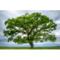 Heritage Ventures Heritage Ventures