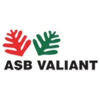ASB VALIANT COMPANY LIMITED email format