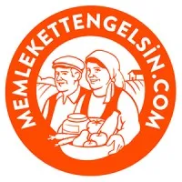 memlekettengelsin.com