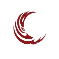 Saleem Memorial Trust Hospital