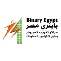 Binary Egypt