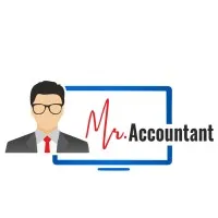 Mr. Accountant