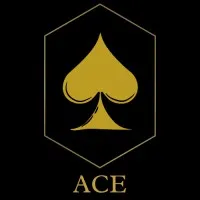 ACE | Digital Marketing Agency ACE | Digital Marketing Agency